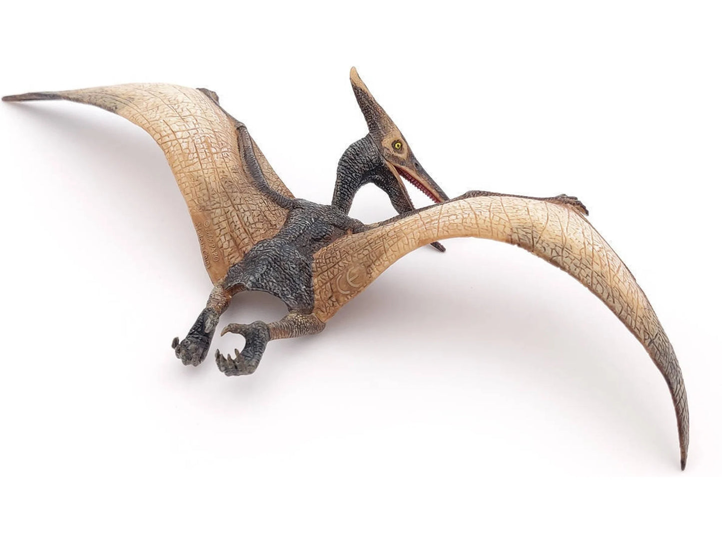 Pteranodon