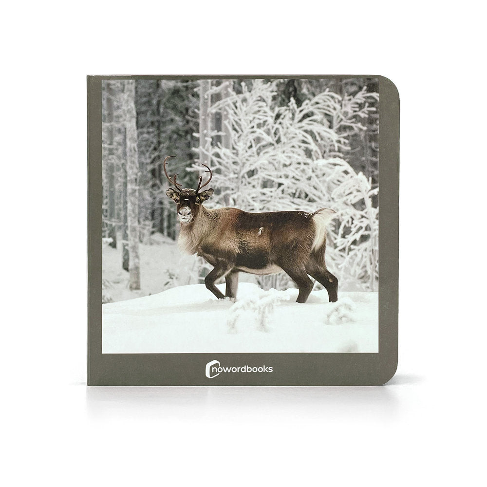ANIMALES POLARES - Nowordbooks
