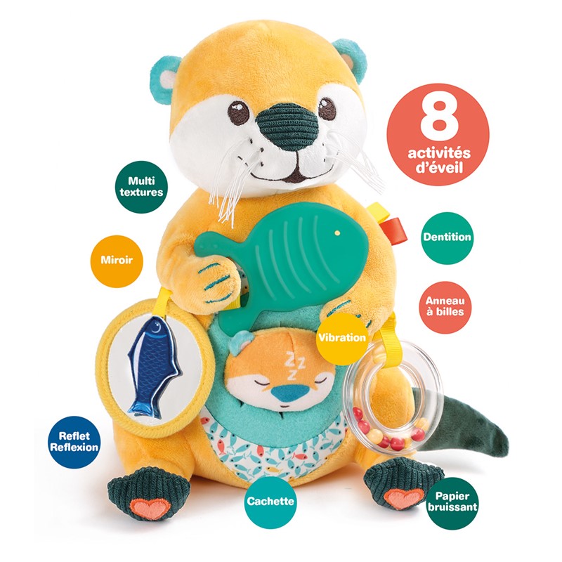 Conjunto actividades nutria