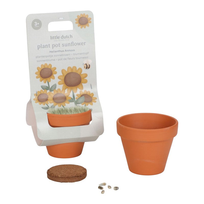 MACETA PLANTA UN GIRASOL