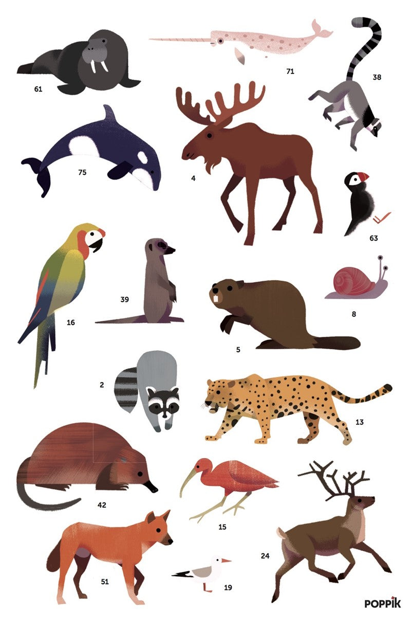 Gran Póster de Pegatinas "Animales del Mundo"