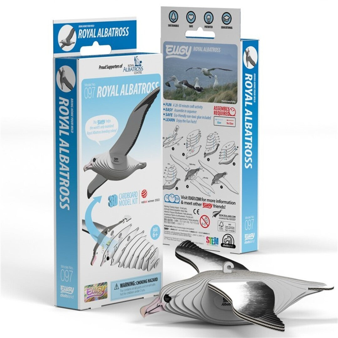 Eugy Royal Albatross097
