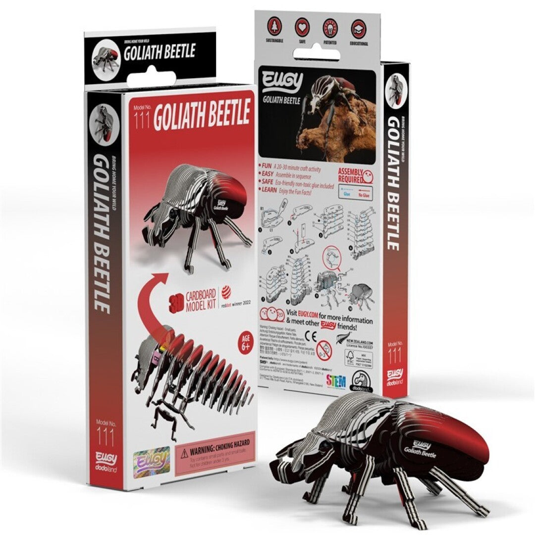 Eugy Goliath Beetle 111