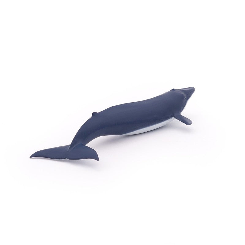 Bebe Ballena Azul
