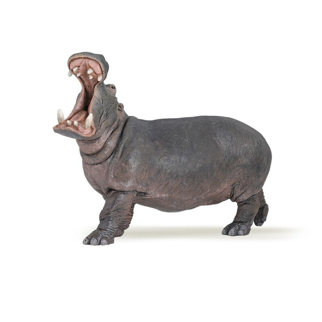 Hipopotamo