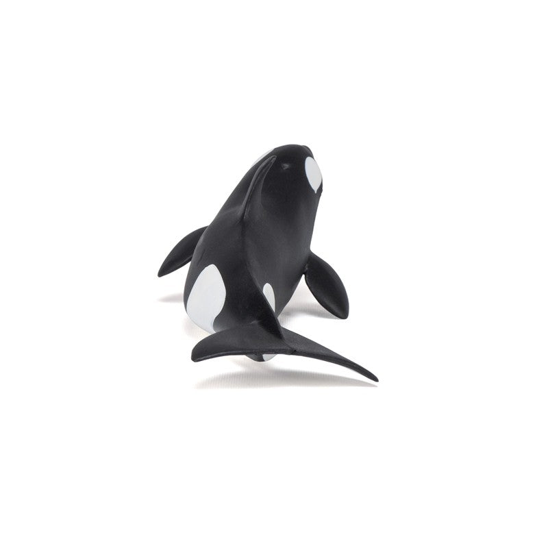 Bebe Orca