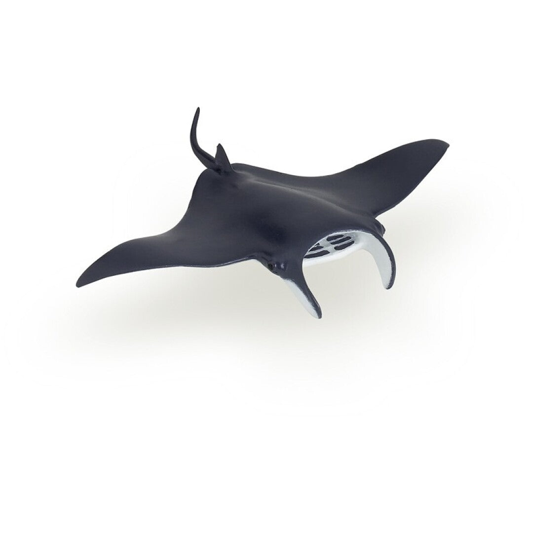 Manta Raya