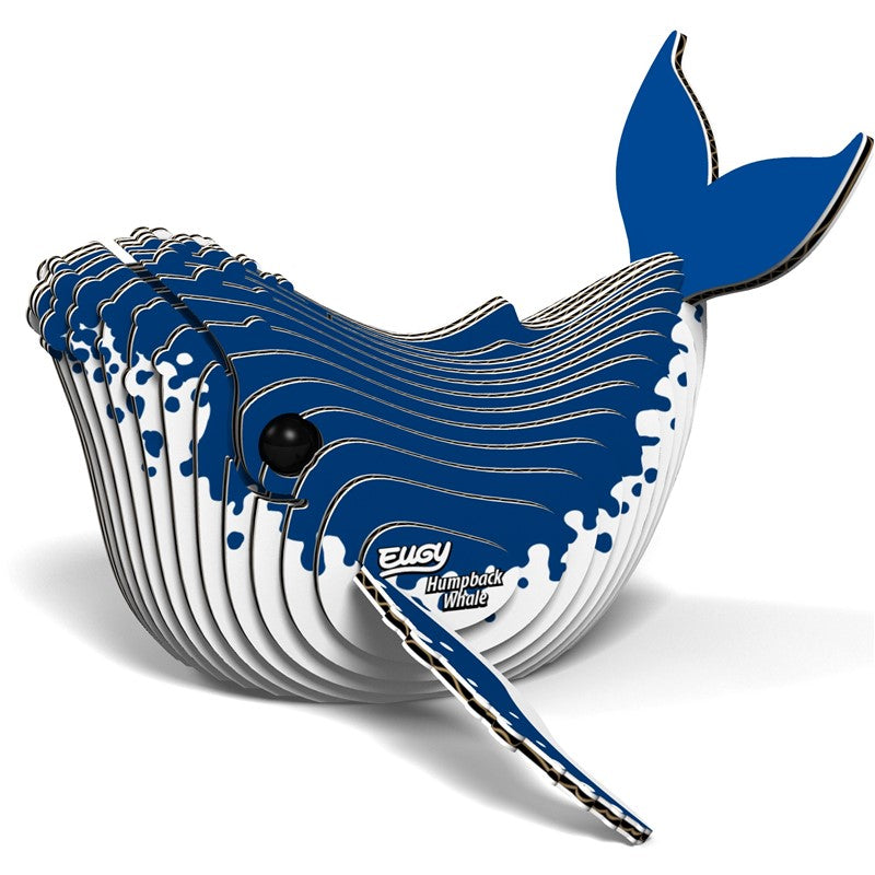 Eugy Humpback Whale 051