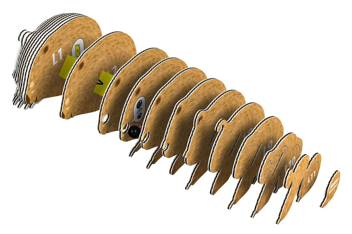 Eugy Wombat 078