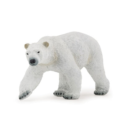 Oso Polar