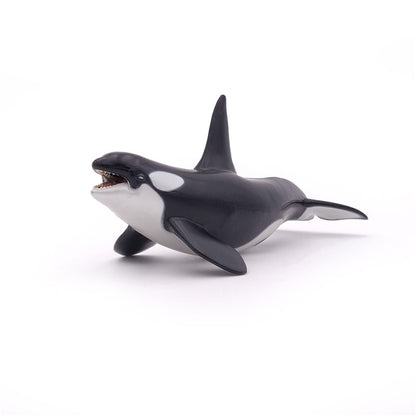 Orca