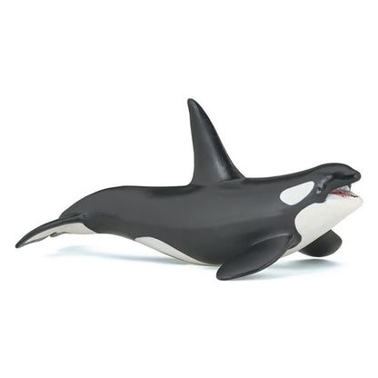 Orca