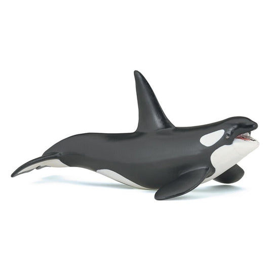 Orca