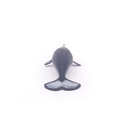 Narval