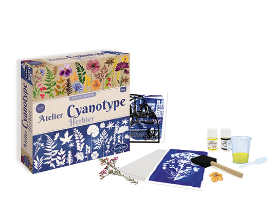 Atelier Cyanotype Herbier