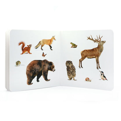 ANIMALES DEL BOSQUE - Nowordbooks