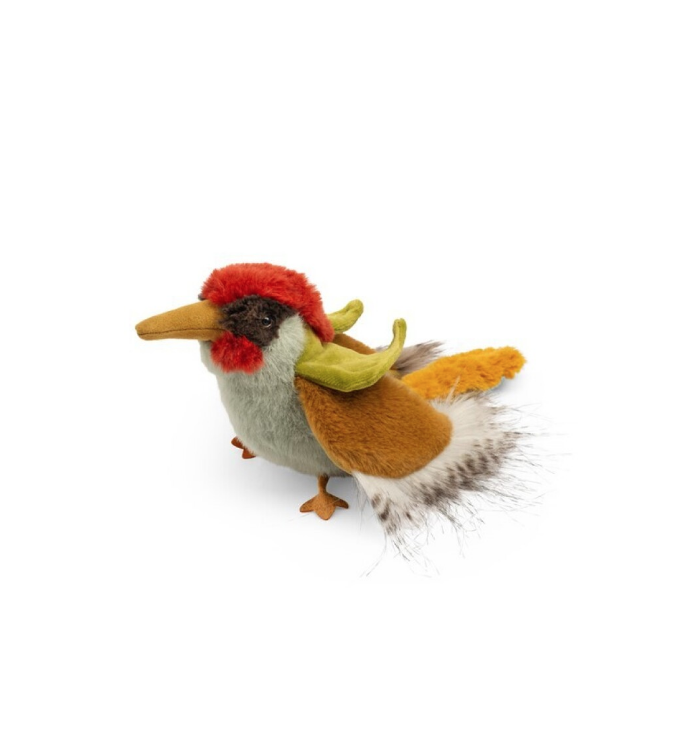 Pájaro carpintero Tout autour du monde