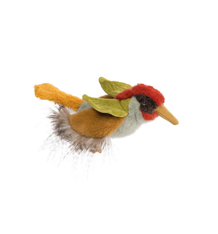 Pájaro carpintero Tout autour du monde