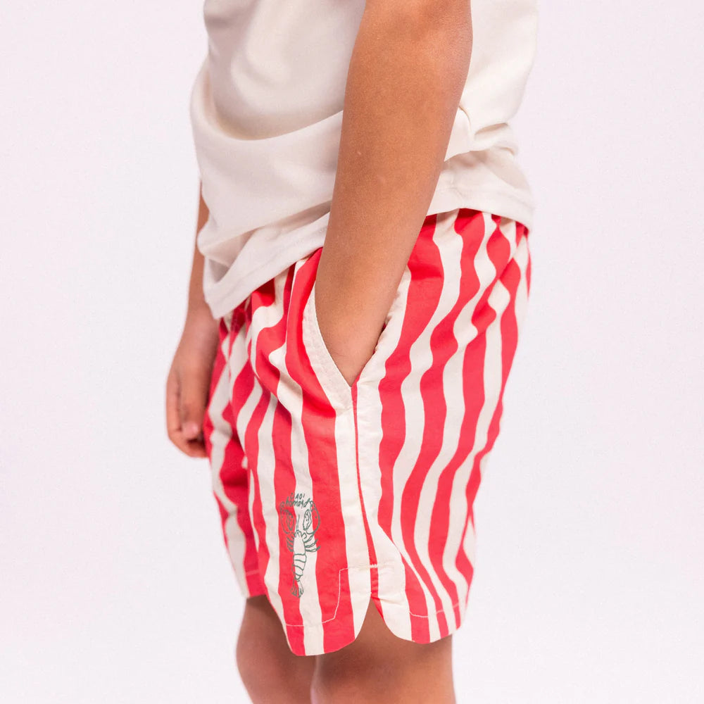 Bañador Lobster Stripe