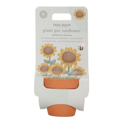 MACETA PLANTA UN GIRASOL