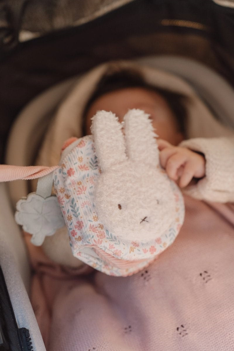 LIBRITO BLANDO ACTIVIDADES ANI MIFFY