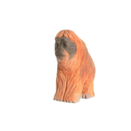 ORANGUTAN