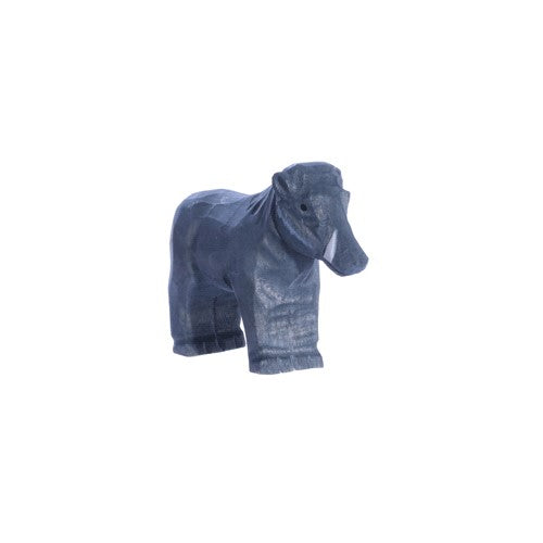 JABALÍ VERRUGOSO