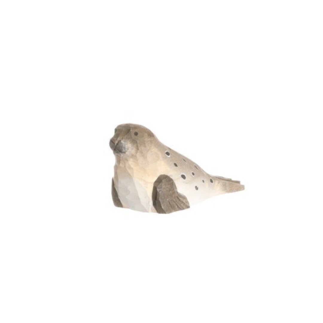FOCA