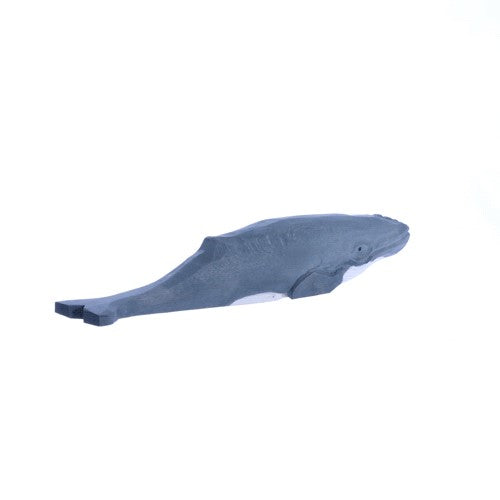 BALLENA JOROBADA