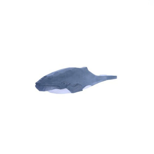 BALLENA JOROBADA