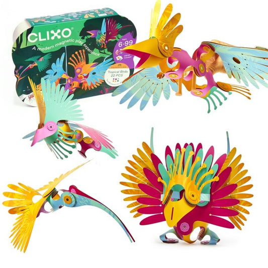 Tropical Birds