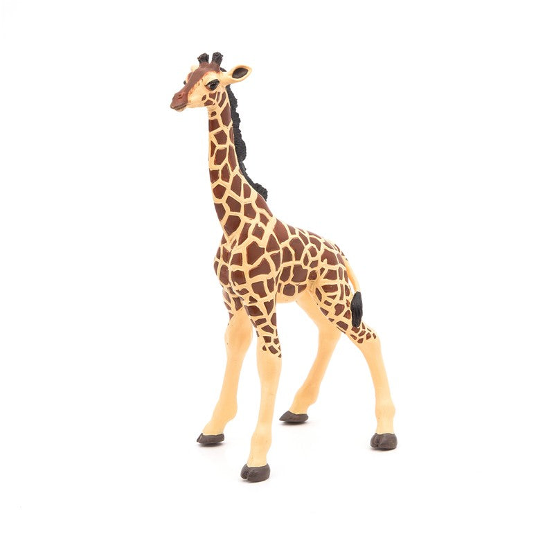 Jirafa cria