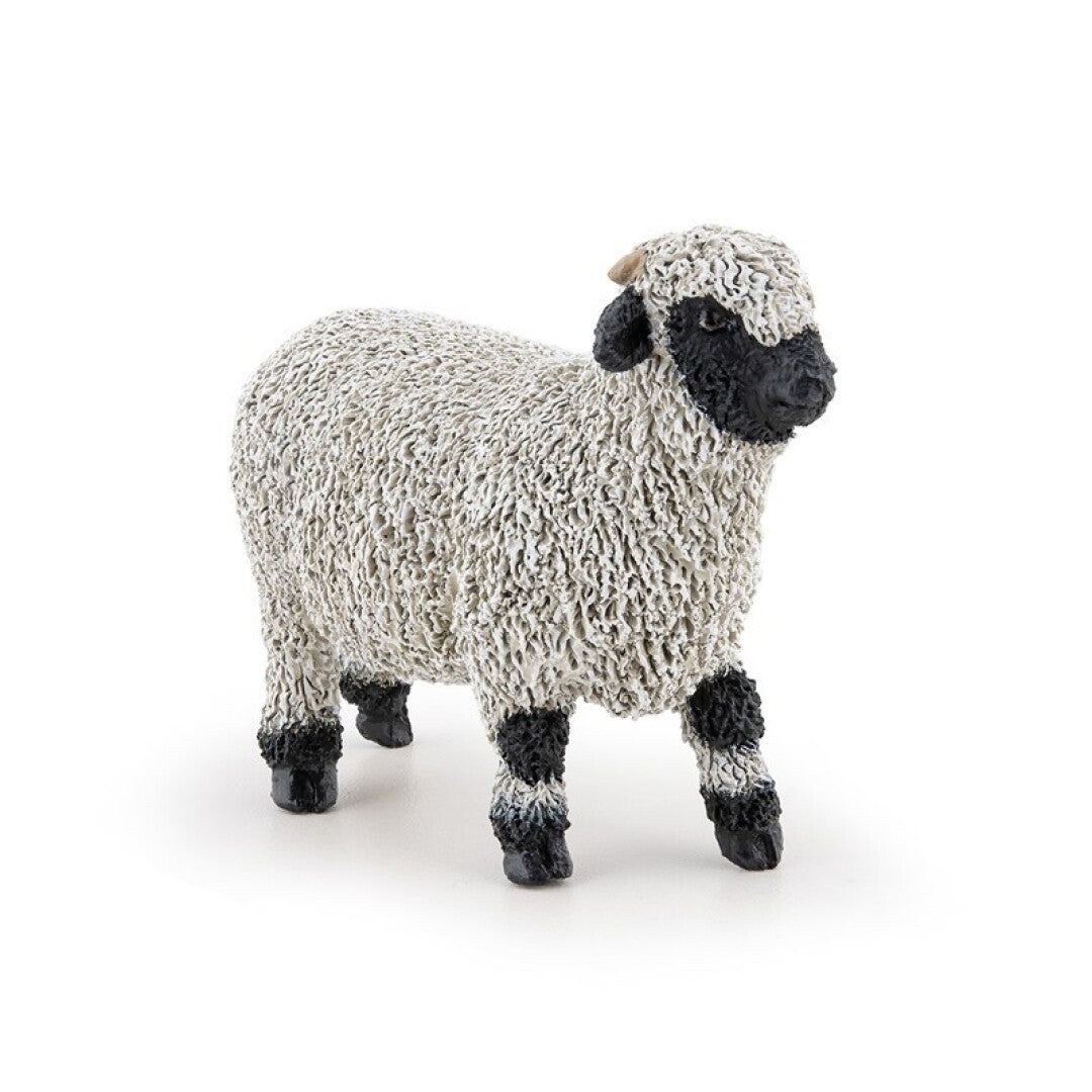 Oveja nariz negra del Valais