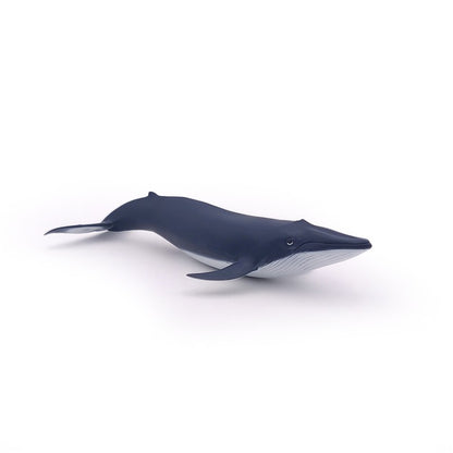 Bebe Ballena Azul