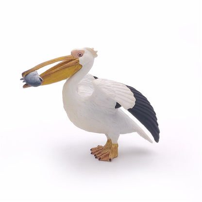 Pelicano