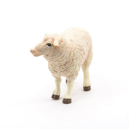 Carnero Merinos