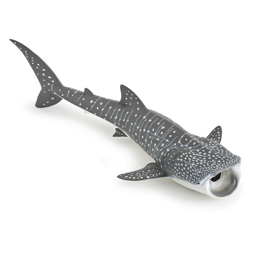 Tiburón Ballena