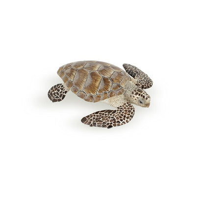 Tortuga de Mar