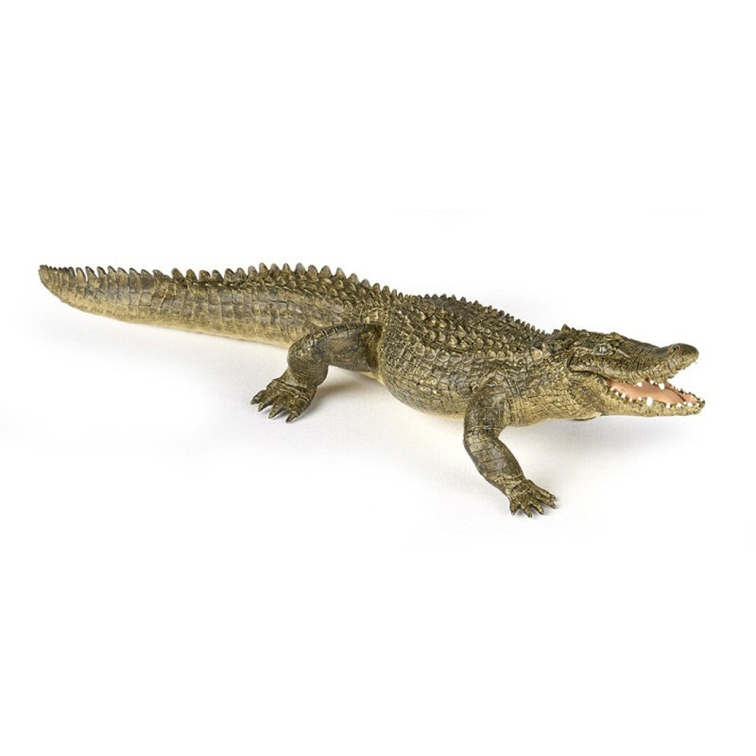 Cocodrilo