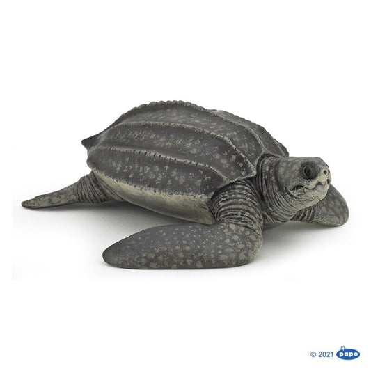 Tortuga Laud