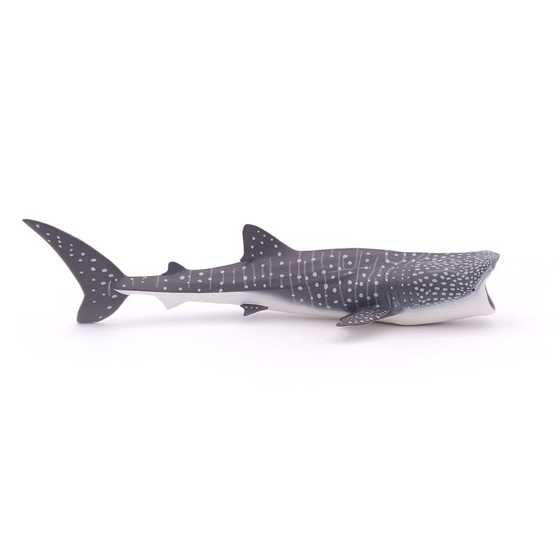 Tiburón Ballena