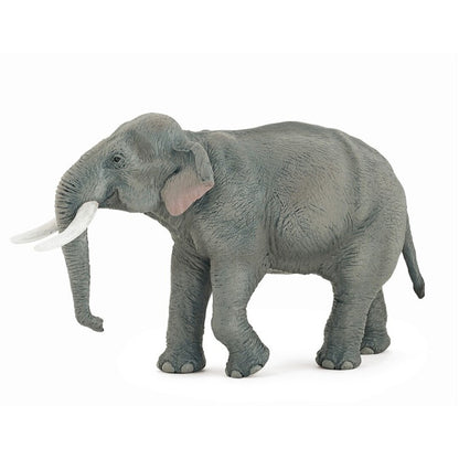 Elefante asiatico