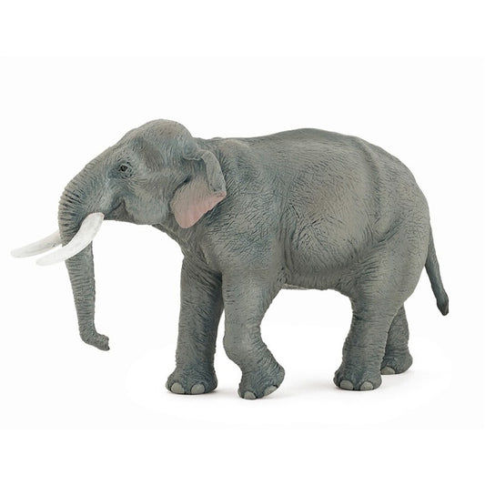 Elefante asiatico