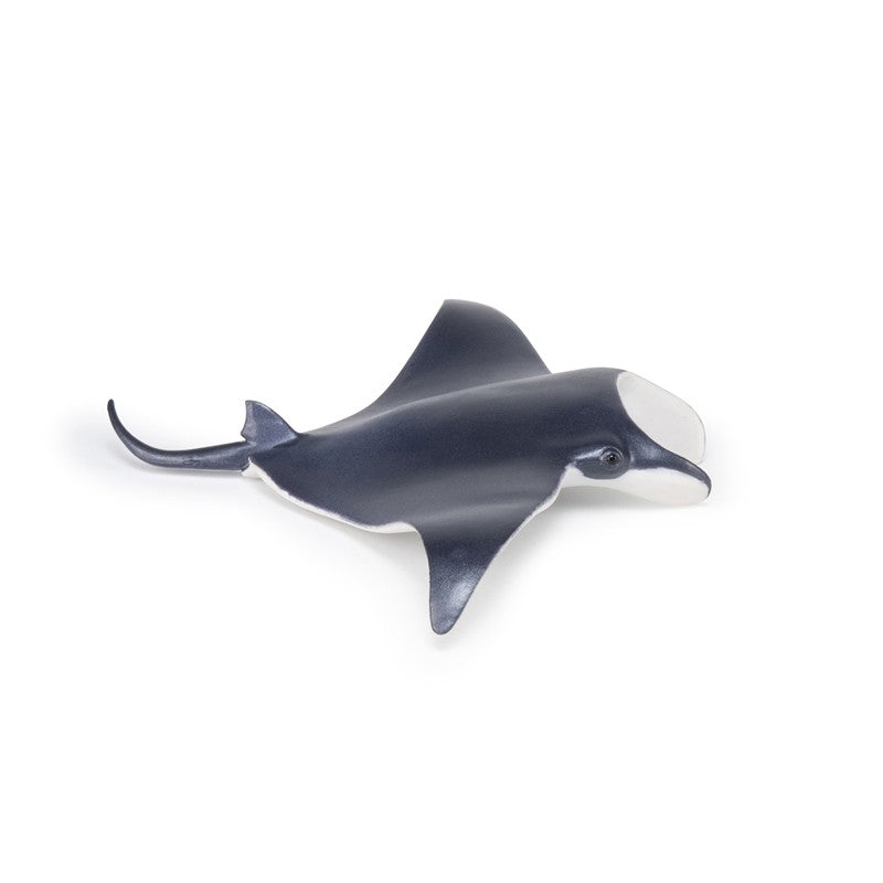 Manta Raya