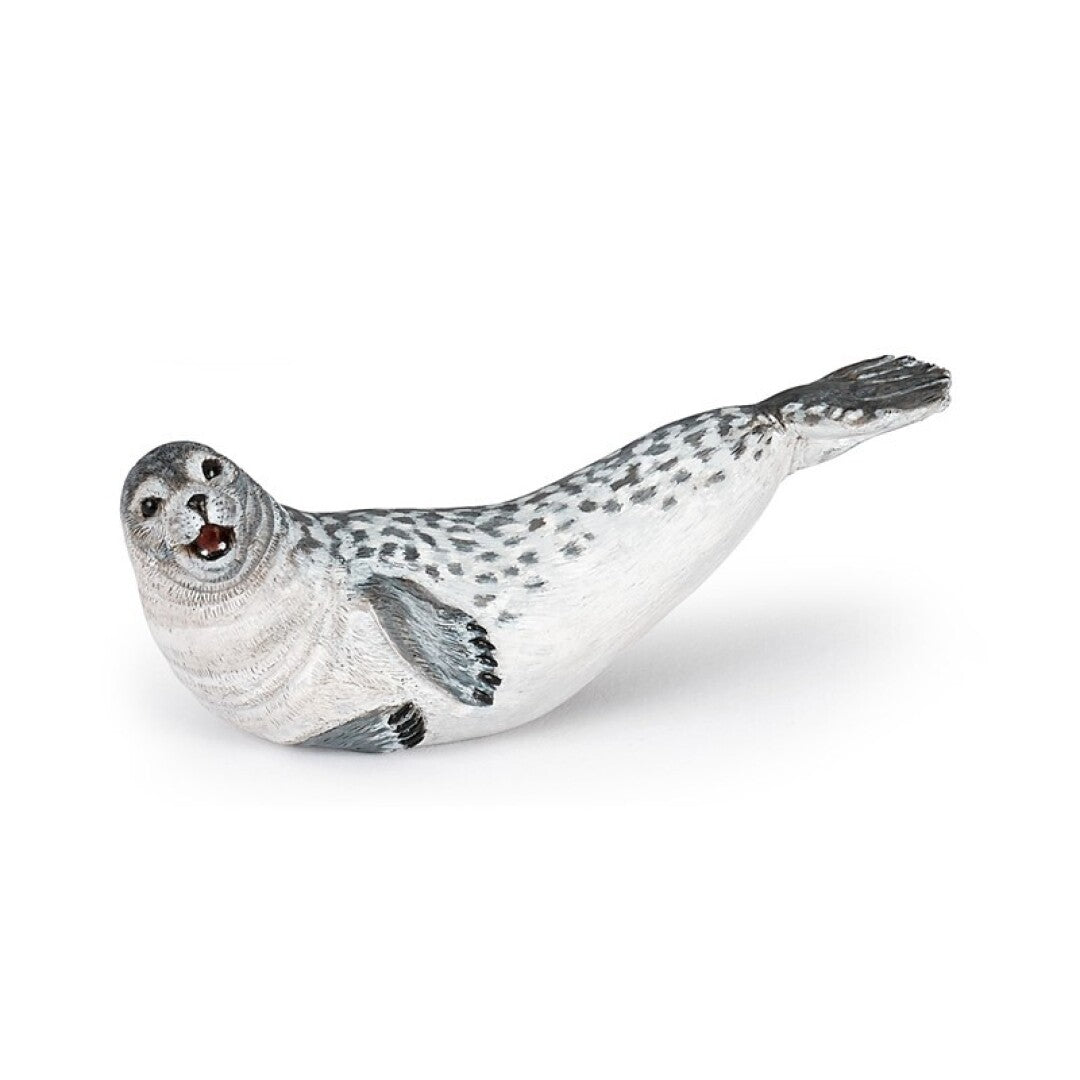 Foca