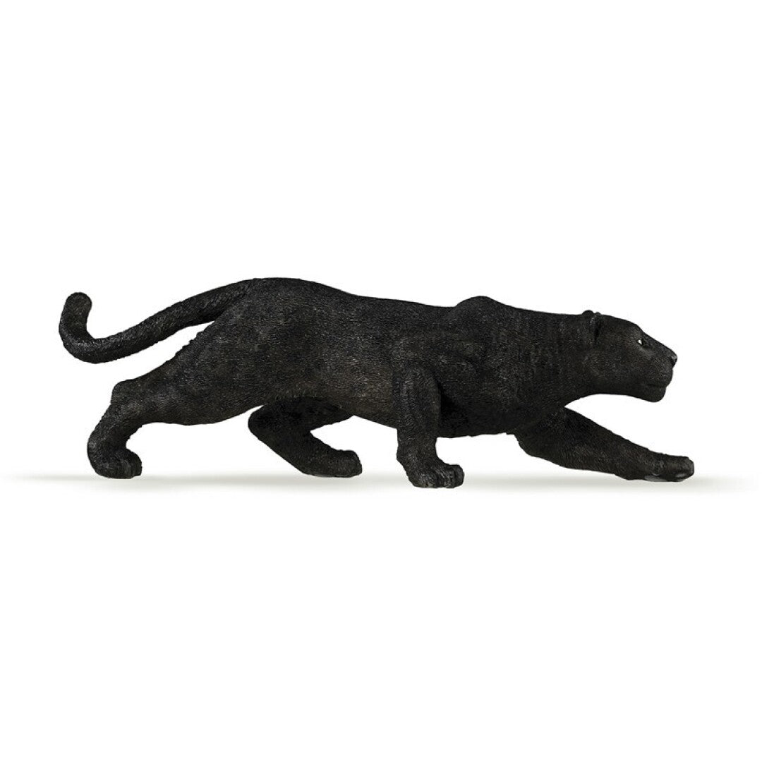Leopardo  negro