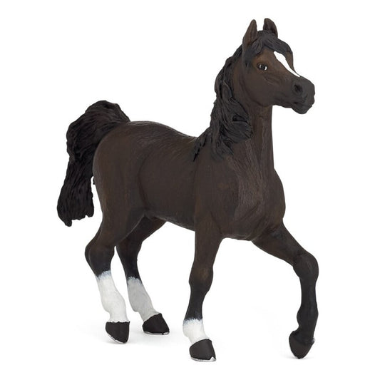 Caballo Arabe