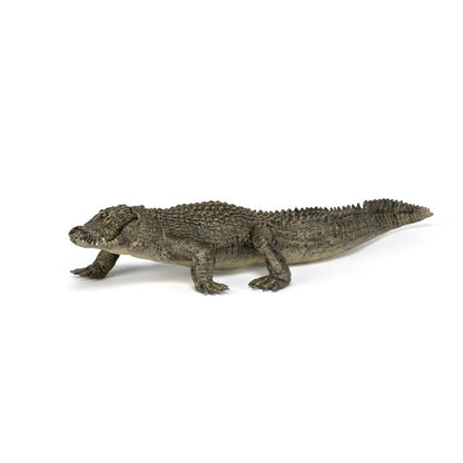 Cocodrilo
