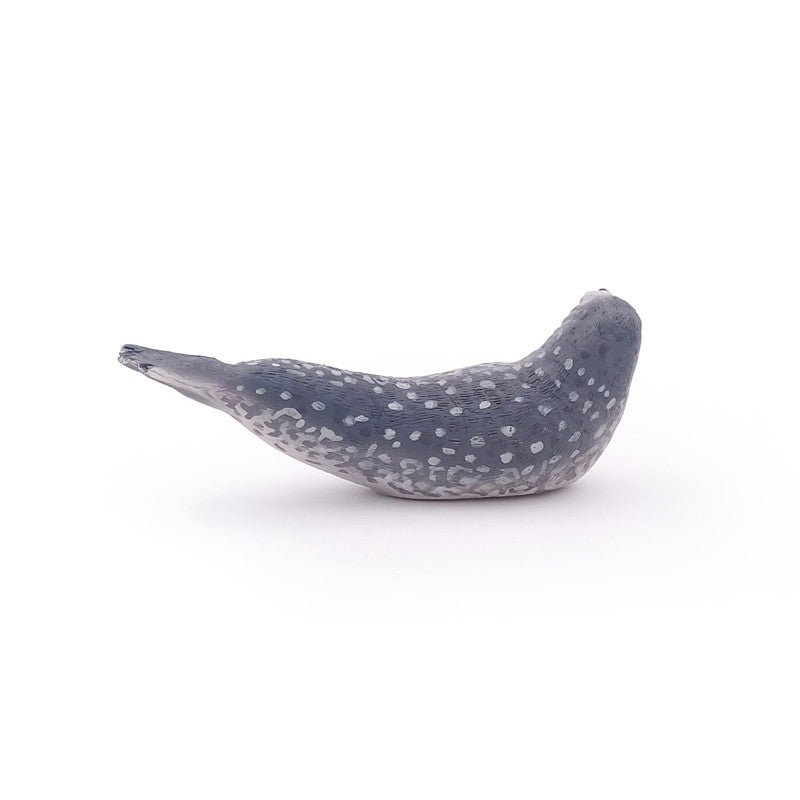 Foca