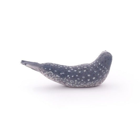 Foca